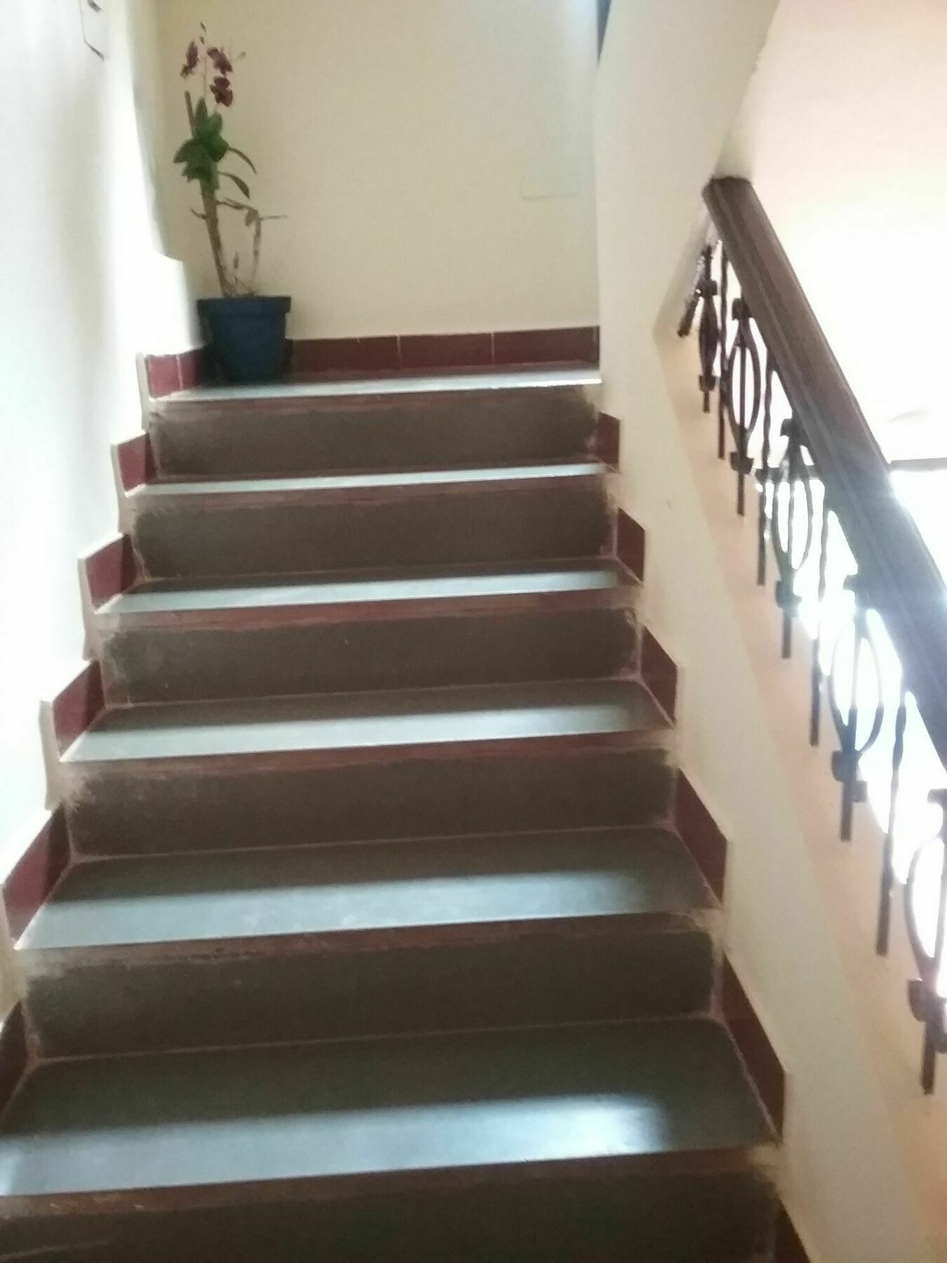 Hotel Baga Villa Bnb Saligao Bagian luar foto